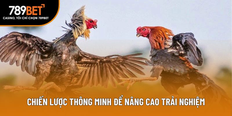 Chiến lược thông minh để nâng cao trải nghiệm