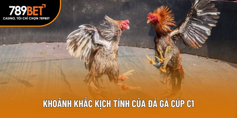 Khoảnh khắc kịch tính của đá gà cúp C1